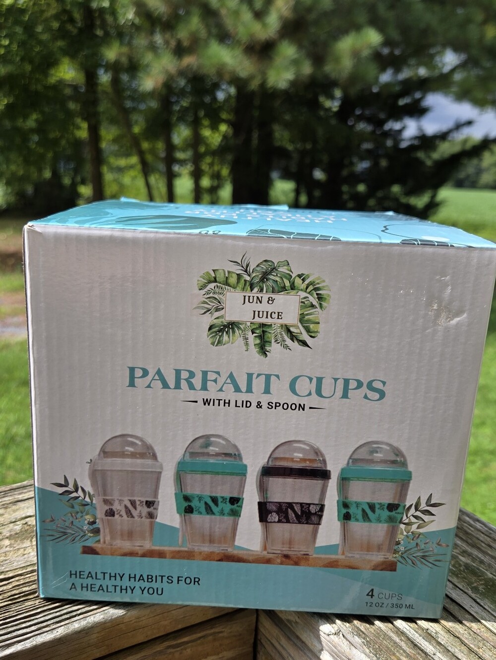 Teal Parfait Cups with Lid & Spoon - Set of 4